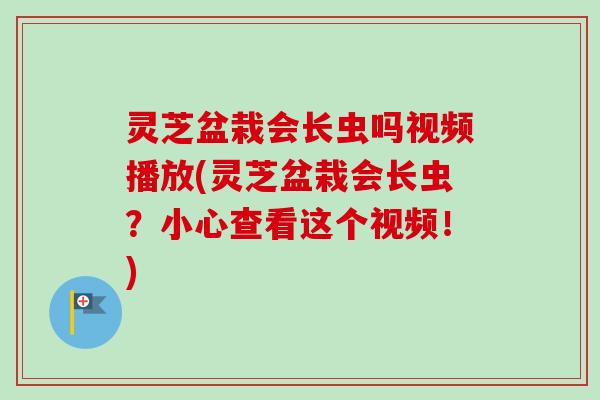 灵芝盆栽会长虫吗视频播放(灵芝盆栽会长虫?小心查看这个视频!)-第1张图片-卓越灵芝孢子粉 灵芝盆栽会长虫吗视频播放(灵芝盆栽会长虫?小心查看这个视频!)-第1张图片-卓越灵芝孢子粉