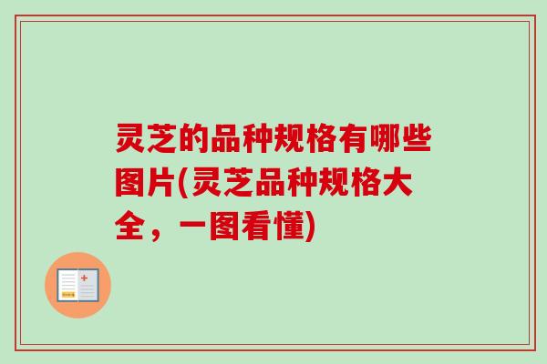 灵芝的品种规格有哪些图片(灵芝品种规格大全,一图看懂)-第1张图片-卓越灵芝孢子粉 灵芝的品种规格有哪些图片(灵芝品种规格大全,一图看懂)-第1张图片-卓越灵芝孢子粉