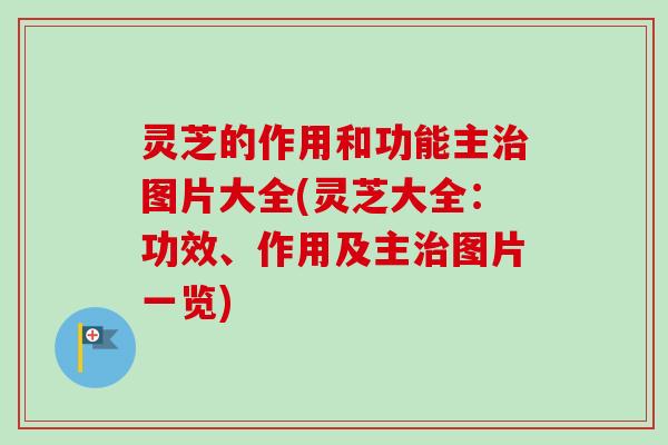 灵芝的作用和功能主治图片大全(灵芝大全:功效、作用及主治图片一览)-第1张图片-卓越灵芝孢子粉 灵芝的作用和功能主治图片大全(灵芝大全:功效、作用及主治图片一览)-第1张图片-卓越灵芝孢子粉