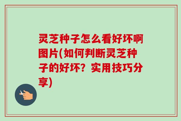 灵芝种子怎么看好坏啊图片(如何判断灵芝种子的好坏?实用技巧分享)-第1张图片-卓越灵芝孢子粉 灵芝种子怎么看好坏啊图片(如何判断灵芝种子的好坏?实用技巧分享)-第1张图片-卓越灵芝孢子粉
