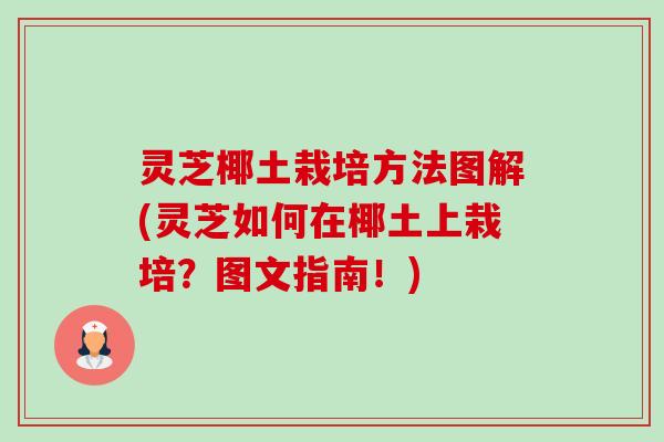 灵芝椰土栽培方法图解(灵芝如何在椰土上栽培?图文指南!)-第1张图片-卓越灵芝孢子粉 灵芝椰土栽培方法图解(灵芝如何在椰土上栽培?图文指南!)-第1张图片-卓越灵芝孢子粉