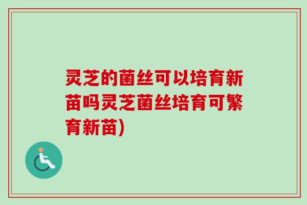 灵芝的菌丝可以培育新苗吗灵芝菌丝培育可繁育新苗)-第1张图片-卓越灵芝孢子粉