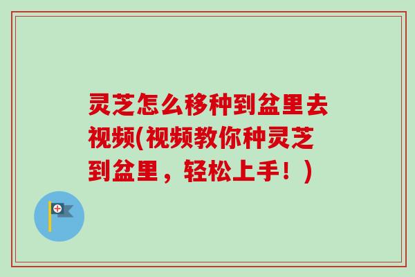 灵芝怎么移种到盆里去视频(视频教你种灵芝到盆里,轻松上手!)-第1张图片-卓越灵芝孢子粉 灵芝怎么移种到盆里去视频(视频教你种灵芝到盆里,轻松上手!)-第1张图片-卓越灵芝孢子粉