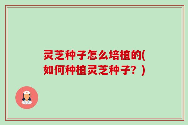 灵芝种子怎么培植的(如何种植灵芝种子?)-第1张图片-卓越灵芝孢子粉 灵芝种子怎么培植的(如何种植灵芝种子?)-第1张图片-卓越灵芝孢子粉