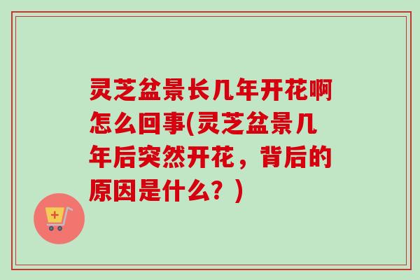 灵芝盆景长几年开花啊怎么回事(灵芝盆景几年后突然开花,背后的原因是什么?)-第1张图片-卓越灵芝孢子粉 灵芝盆景长几年开花啊怎么回事(灵芝盆景几年后突然开花,背后的原因是什么?)-第1张图片-卓越灵芝孢子粉