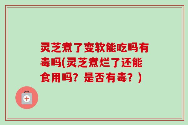 灵芝煮了变软能吃吗有毒吗(灵芝煮烂了还能食用吗？是否有毒？)-第1张图片-卓越灵芝孢子粉