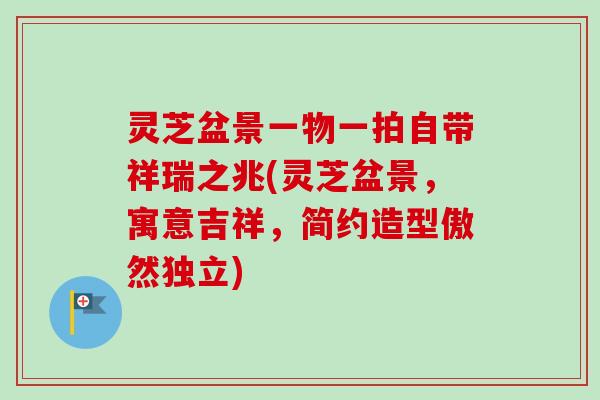 灵芝盆景一物一拍自带祥瑞之兆(灵芝盆景,寓意吉祥,简约造型傲然独立)-第1张图片-卓越灵芝孢子粉 灵芝盆景一物一拍自带祥瑞之兆(灵芝盆景,寓意吉祥,简约造型傲然独立)-第1张图片-卓越灵芝孢子粉