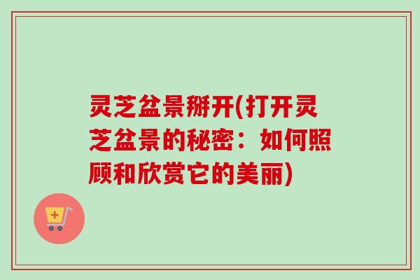 灵芝盆景掰开(打开灵芝盆景的秘密:如何照顾和欣赏它的美丽)-第1张图片-卓越灵芝孢子粉 灵芝盆景掰开(打开灵芝盆景的秘密:如何照顾和欣赏它的美丽)-第1张图片-卓越灵芝孢子粉