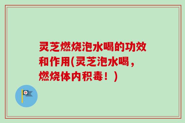 灵芝燃烧泡水喝的功效和作用(灵芝泡水喝,燃烧体内积毒!)-第1张图片-卓越灵芝孢子粉 灵芝燃烧泡水喝的功效和作用(灵芝泡水喝,燃烧体内积毒!)-第1张图片-卓越灵芝孢子粉