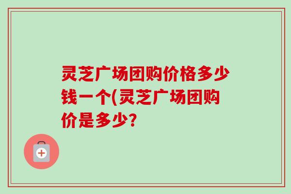 灵芝广场团购价格多少钱一个(灵芝广场团购价是多少?-第1张图片-卓越灵芝孢子粉 灵芝广场团购价格多少钱一个(灵芝广场团购价是多少?-第1张图片-卓越灵芝孢子粉