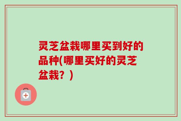 灵芝盆栽哪里买到好的品种(哪里买好的灵芝盆栽？)-第1张图片-卓越灵芝孢子粉