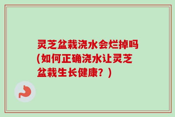 灵芝盆栽浇水会烂掉吗(如何正确浇水让灵芝盆栽生长健康？)-第1张图片-卓越灵芝孢子粉