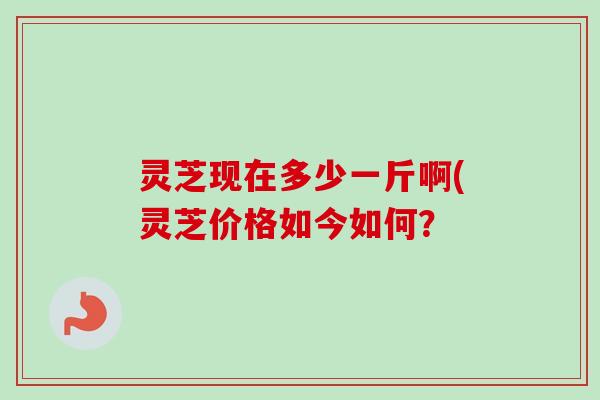 灵芝现在多少一斤啊(灵芝价格如今如何?-第1张图片-卓越灵芝孢子粉 灵芝现在多少一斤啊(灵芝价格如今如何?-第1张图片-卓越灵芝孢子粉