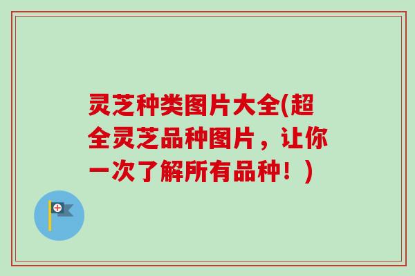 灵芝种类图片大全(超全灵芝品种图片,让你一次了解所有品种!)-第1张图片-卓越灵芝孢子粉 灵芝种类图片大全(超全灵芝品种图片,让你一次了解所有品种!)-第1张图片-卓越灵芝孢子粉