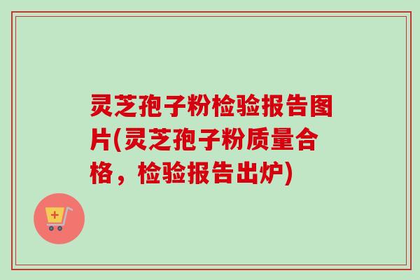 灵芝孢子粉检验报告图片(灵芝孢子粉质量合格,检验报告出炉)-第1张图片-卓越灵芝孢子粉 灵芝孢子粉检验报告图片(灵芝孢子粉质量合格,检验报告出炉)-第1张图片-卓越灵芝孢子粉