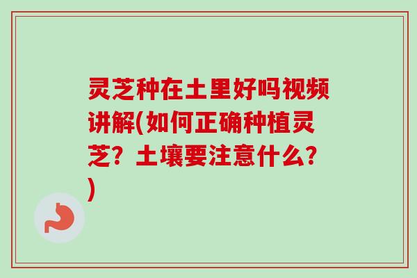 灵芝种在土里好吗视频讲解(如何正确种植灵芝?土壤要注意什么?)-第1张图片-卓越灵芝孢子粉 灵芝种在土里好吗视频讲解(如何正确种植灵芝?土壤要注意什么?)-第1张图片-卓越灵芝孢子粉