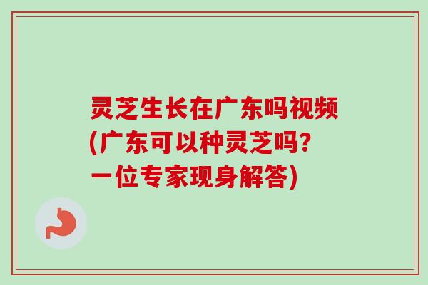 灵芝生长在广东吗视频(广东可以种灵芝吗?一位专家现身解答)-第1张图片-卓越灵芝孢子粉 灵芝生长在广东吗视频(广东可以种灵芝吗?一位专家现身解答)-第1张图片-卓越灵芝孢子粉