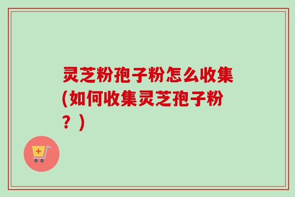 灵芝粉孢子粉怎么收集(如何收集灵芝孢子粉?)-第1张图片-卓越灵芝孢子粉 灵芝粉孢子粉怎么收集(如何收集灵芝孢子粉?)-第1张图片-卓越灵芝孢子粉