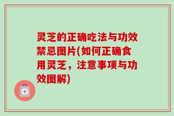 灵芝的正确吃法与功效禁忌图片(如何正确食用灵芝,注意事项与功效图解)-第1张图片-卓越灵芝孢子粉 灵芝的正确吃法与功效禁忌图片(如何正确食用灵芝,注意事项与功效图解)-第1张图片-卓越灵芝孢子粉