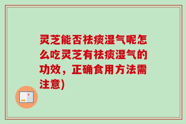 灵芝能否祛痰湿气呢怎么吃灵芝有祛痰湿气的功效，正确食用方法需注意)-第1张图片-卓越灵芝孢子粉