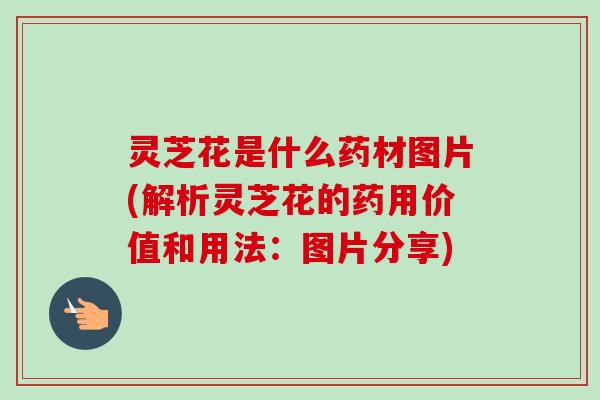 灵芝花是什么药材图片(解析灵芝花的药用价值和用法:图片分享)-第1张图片-卓越灵芝孢子粉 灵芝花是什么药材图片(解析灵芝花的药用价值和用法:图片分享)-第1张图片-卓越灵芝孢子粉