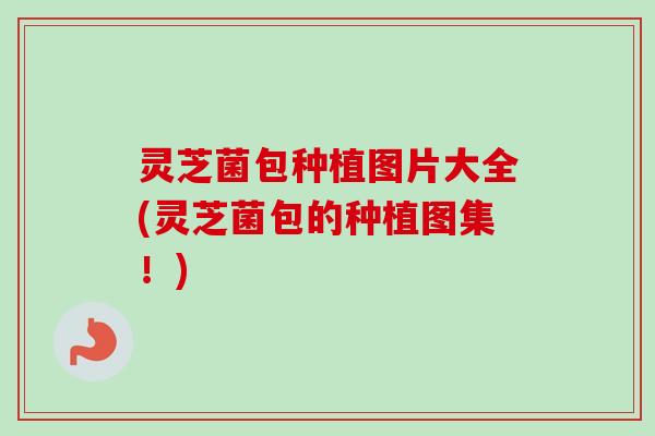 灵芝菌包种植图片大全(灵芝菌包的种植图集!)-第1张图片-卓越灵芝孢子粉 灵芝菌包种植图片大全(灵芝菌包的种植图集!)-第1张图片-卓越灵芝孢子粉