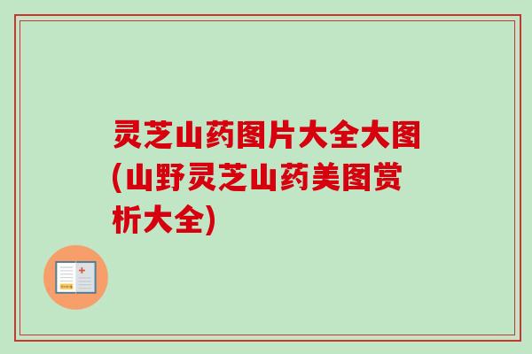 灵芝山药图片大全大图(山野灵芝山药美图赏析大全)-第1张图片-卓越灵芝孢子粉