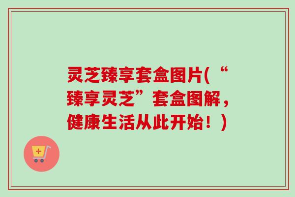 灵芝臻享套盒图片(“臻享灵芝”套盒图解，健康生活从此开始！)-第1张图片-卓越灵芝孢子粉