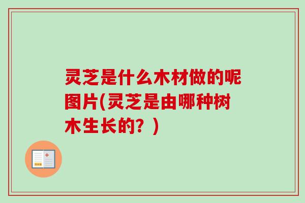 灵芝是什么木材做的呢图片(灵芝是由哪种树木生长的?)-第1张图片-卓越灵芝孢子粉 灵芝是什么木材做的呢图片(灵芝是由哪种树木生长的?)-第1张图片-卓越灵芝孢子粉