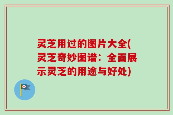 灵芝用过的图片大全(灵芝奇妙图谱:全面展示灵芝的用途与好处)-第1张图片-卓越灵芝孢子粉 灵芝用过的图片大全(灵芝奇妙图谱:全面展示灵芝的用途与好处)-第1张图片-卓越灵芝孢子粉