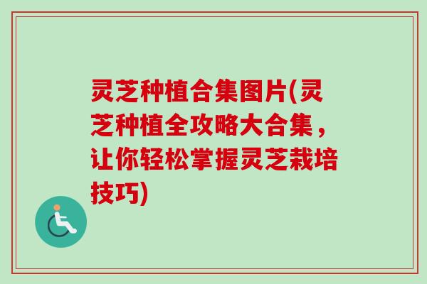 灵芝种植合集图片(灵芝种植全攻略大合集,让你轻松掌握灵芝栽培技巧)-第1张图片-卓越灵芝孢子粉 灵芝种植合集图片(灵芝种植全攻略大合集,让你轻松掌握灵芝栽培技巧)-第1张图片-卓越灵芝孢子粉