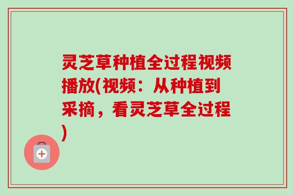 灵芝草种植全过程视频播放(视频:从种植到采摘,看灵芝草全过程)-第1张图片-卓越灵芝孢子粉 灵芝草种植全过程视频播放(视频:从种植到采摘,看灵芝草全过程)-第1张图片-卓越灵芝孢子粉