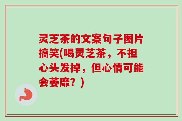 灵芝茶的文案句子图片搞笑(喝灵芝茶,不担心头发掉,但心情可能会萎靡?)-第1张图片-卓越灵芝孢子粉 灵芝茶的文案句子图片搞笑(喝灵芝茶,不担心头发掉,但心情可能会萎靡?)-第1张图片-卓越灵芝孢子粉