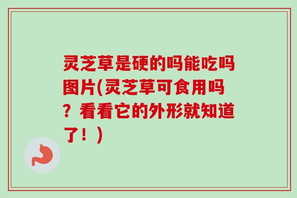 灵芝草是硬的吗能吃吗图片(灵芝草可食用吗？看看它的外形就知道了！)-第1张图片-卓越灵芝孢子粉