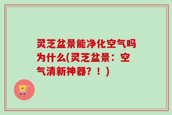 灵芝盆景能净化空气吗为什么(灵芝盆景:空气清新神器?!)-第1张图片-卓越灵芝孢子粉 灵芝盆景能净化空气吗为什么(灵芝盆景:空气清新神器?!)-第1张图片-卓越灵芝孢子粉