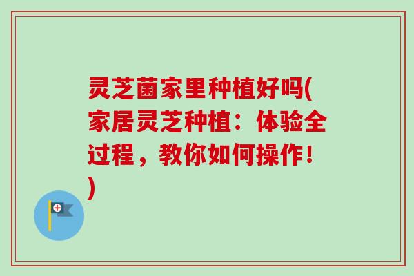 灵芝菌家里种植好吗(家居灵芝种植：体验全过程，教你如何操作！)-第1张图片-卓越灵芝孢子粉