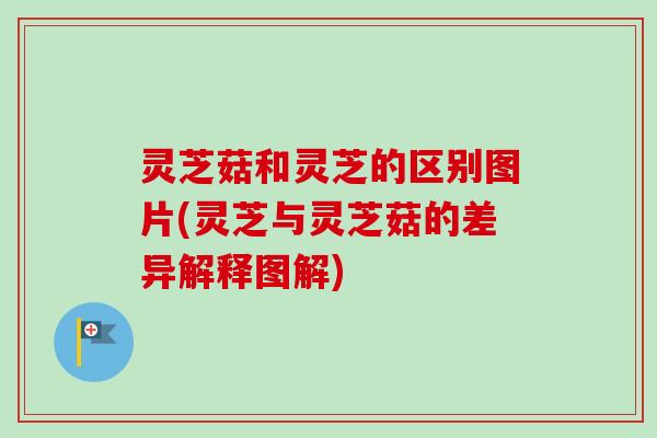 灵芝菇和灵芝的区别图片(灵芝与灵芝菇的差异解释图解)-第1张图片-卓越灵芝孢子粉 灵芝菇和灵芝的区别图片(灵芝与灵芝菇的差异解释图解)-第1张图片-卓越灵芝孢子粉