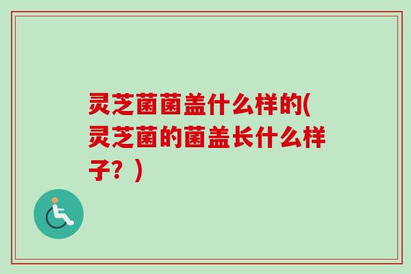 灵芝菌菌盖什么样的(灵芝菌的菌盖长什么样子?)-第1张图片-卓越灵芝孢子粉 灵芝菌菌盖什么样的(灵芝菌的菌盖长什么样子?)-第1张图片-卓越灵芝孢子粉