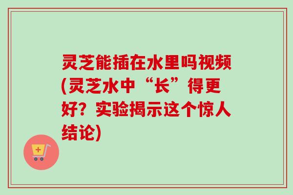 灵芝能插在水里吗视频(灵芝水中“长”得更好?实验揭示这个惊人结论)-第1张图片-卓越灵芝孢子粉 灵芝能插在水里吗视频(灵芝水中“长”得更好?实验揭示这个惊人结论)-第1张图片-卓越灵芝孢子粉