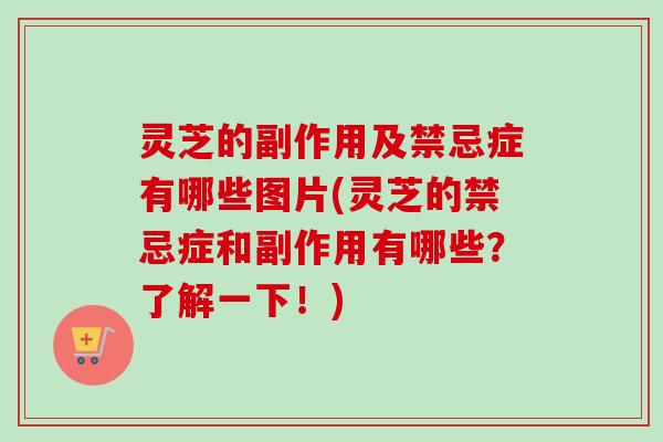 灵芝的副作用及禁忌症有哪些图片(灵芝的禁忌症和副作用有哪些?了解一下!)-第1张图片-卓越灵芝孢子粉 灵芝的副作用及禁忌症有哪些图片(灵芝的禁忌症和副作用有哪些?了解一下!)-第1张图片-卓越灵芝孢子粉
