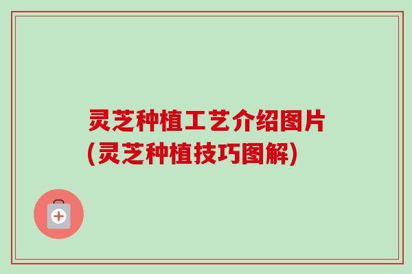 灵芝种植工艺介绍图片(灵芝种植技巧图解)-第1张图片-卓越灵芝孢子粉 灵芝种植工艺介绍图片(灵芝种植技巧图解)-第1张图片-卓越灵芝孢子粉