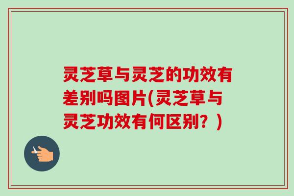 灵芝草与灵芝的功效有差别吗图片(灵芝草与灵芝功效有何区别?)-第1张图片-卓越灵芝孢子粉 灵芝草与灵芝的功效有差别吗图片(灵芝草与灵芝功效有何区别?)-第1张图片-卓越灵芝孢子粉