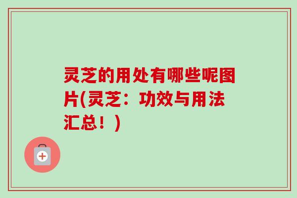 灵芝的用处有哪些呢图片(灵芝:功效与用法汇总!)-第1张图片-卓越灵芝孢子粉 灵芝的用处有哪些呢图片(灵芝:功效与用法汇总!)-第1张图片-卓越灵芝孢子粉