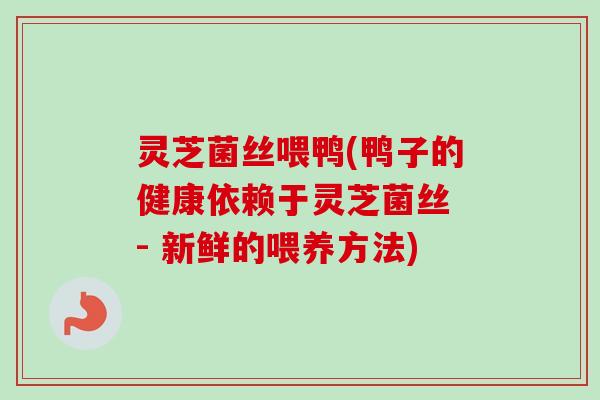 灵芝菌丝喂鸭(鸭子的健康依赖于灵芝菌丝 - 新鲜的喂养方法)-第1张图片-卓越灵芝孢子粉 灵芝菌丝喂鸭(鸭子的健康依赖于灵芝菌丝 - 新鲜的喂养方法)-第1张图片-卓越灵芝孢子粉