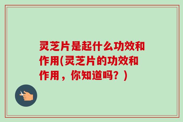 灵芝片是起什么功效和作用(灵芝片的功效和作用，你知道吗？)-第1张图片-卓越灵芝孢子粉