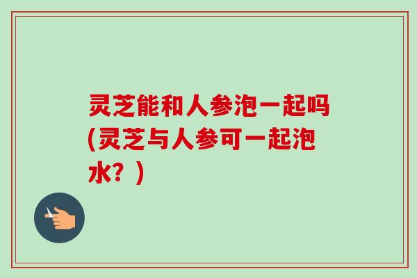 灵芝能和人参泡一起吗(灵芝与人参可一起泡水?)-第1张图片-卓越灵芝孢子粉 灵芝能和人参泡一起吗(灵芝与人参可一起泡水?)-第1张图片-卓越灵芝孢子粉