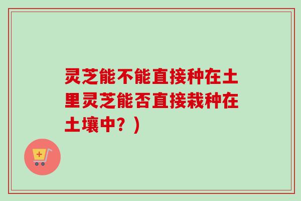 灵芝能不能直接种在土里灵芝能否直接栽种在土壤中？)-第1张图片-卓越灵芝孢子粉