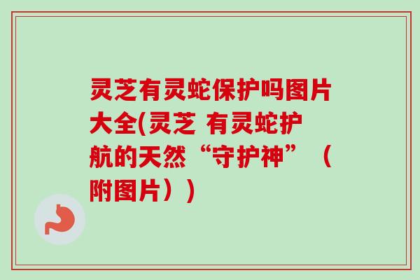 灵芝有灵蛇保护吗图片大全(灵芝 有灵蛇护航的天然“守护神”(附图片))-第1张图片-卓越灵芝孢子粉 灵芝有灵蛇保护吗图片大全(灵芝 有灵蛇护航的天然“守护神”(附图片))-第1张图片-卓越灵芝孢子粉