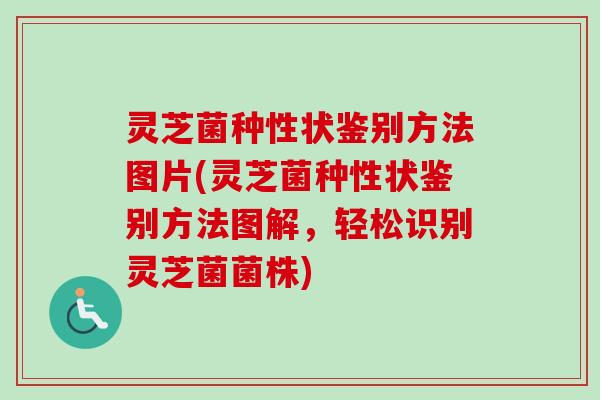 灵芝菌种性状鉴别方法图片(灵芝菌种性状鉴别方法图解,轻松识别灵芝菌菌株)-第1张图片-卓越灵芝孢子粉 灵芝菌种性状鉴别方法图片(灵芝菌种性状鉴别方法图解,轻松识别灵芝菌菌株)-第1张图片-卓越灵芝孢子粉