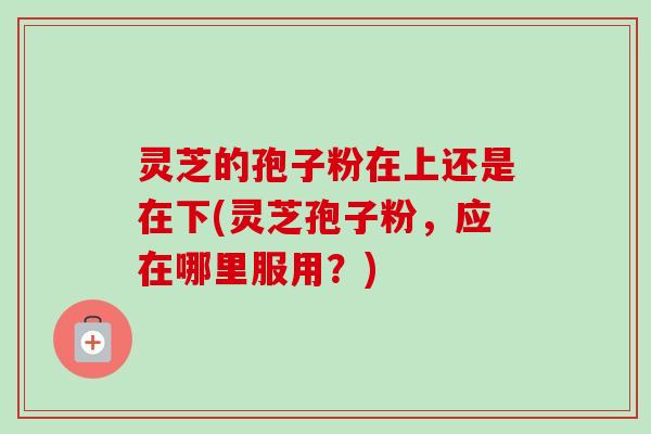 灵芝的孢子粉在上还是在下(灵芝孢子粉,应在哪里服用?)-第1张图片-卓越灵芝孢子粉 灵芝的孢子粉在上还是在下(灵芝孢子粉,应在哪里服用?)-第1张图片-卓越灵芝孢子粉